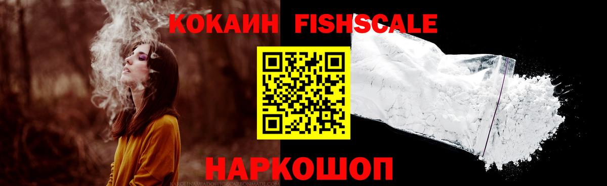 Cocaine Fish Scale  Вход с VPN  Верхняя Пышма 