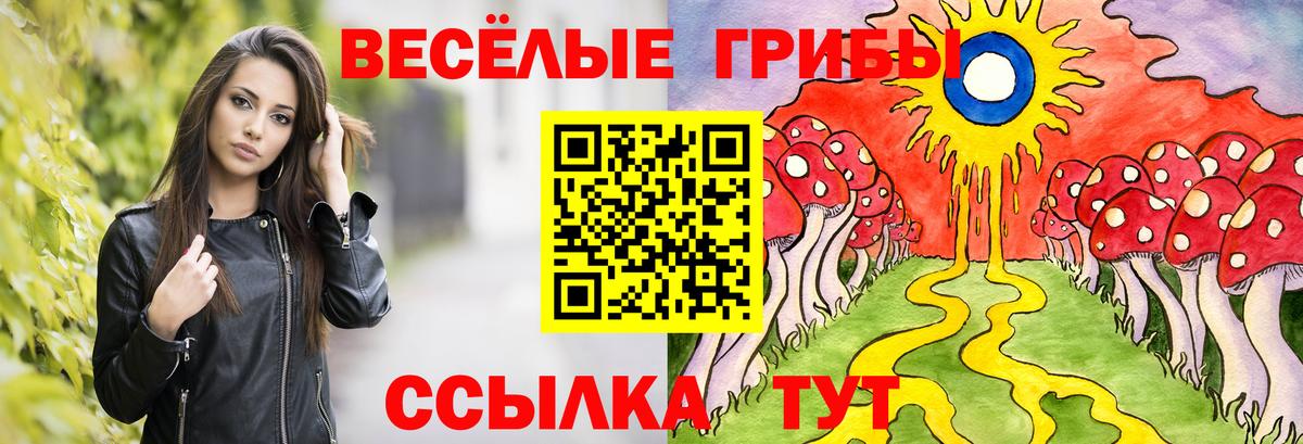 Псилоцибиновые грибы мицелий Верхняя Пышма